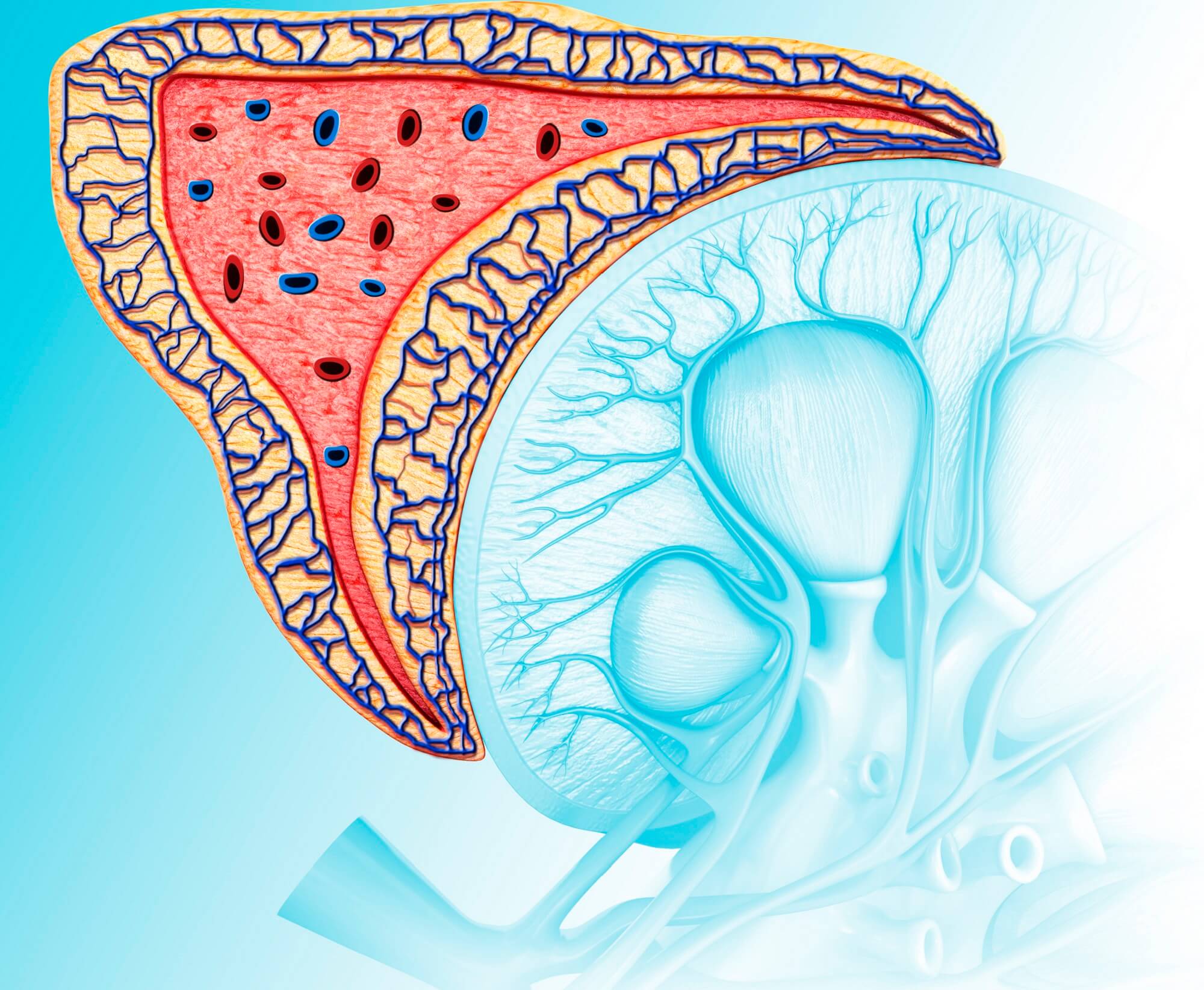 فئوکروموسیتوما
