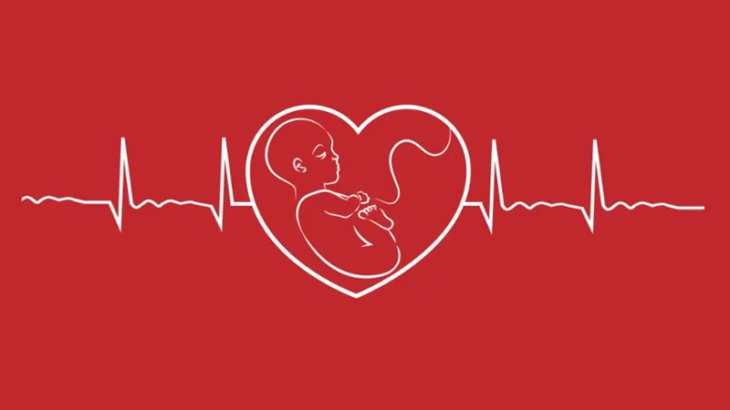 عوارض حاملگی و بیماریهای قلبی