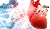 قلب و سرطان های بدن  Cardio-Oncology